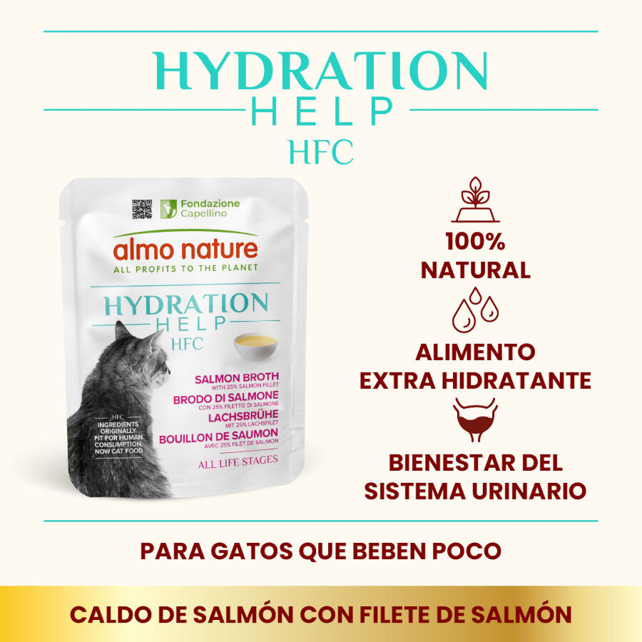 50 g Almo Nature HFC Hydration Help Caldo de Salm&oacute;n sobre para gatos, , large indicador imagen numero 2